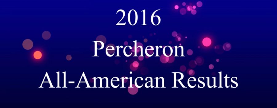 2016 Percheron All-American