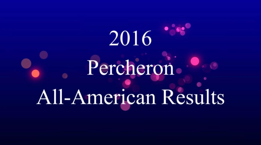 2016 Percheron All-American