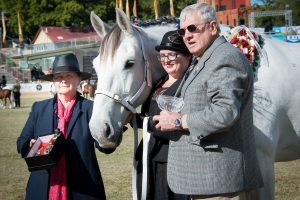 PHAoA USLGE mission to The Royal Queensland Show by Stacie C. Lynch