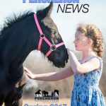 Percheron News Subscription - Image 12