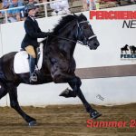 Percheron News Subscription - Image 13
