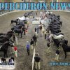 Percheron News Subscription - Image 9