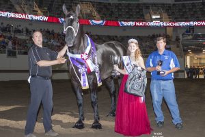 2019 National Percheron Show