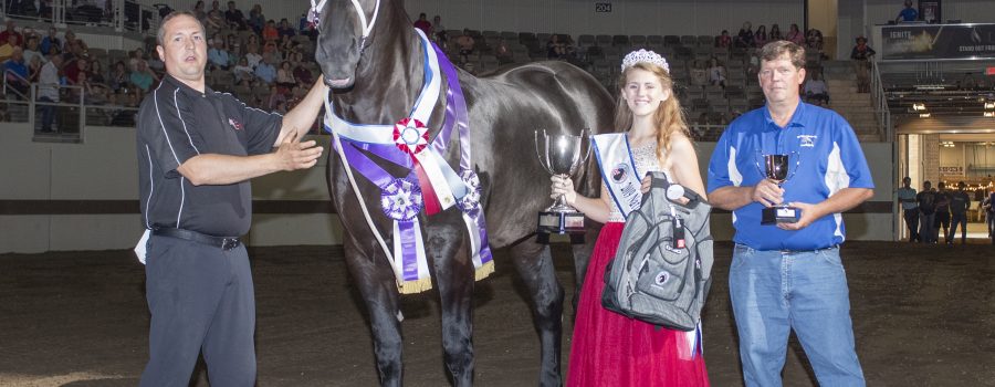 2019 National Percheron Show