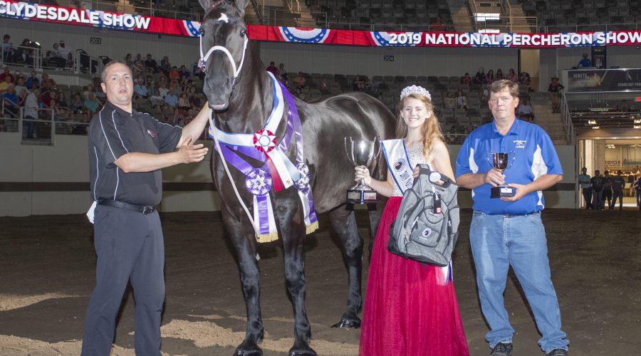 2019 National Percheron Show