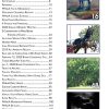 Digital Downloadable Issue – 2020 Summer/Fall Percheron News - Image 3