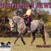 Percheron News Subscription - Image 6