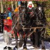 Digital Downloadable Issue – 2024 Winter/Spring Percheron News